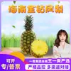 Piña Diamante Dorado de Hainan Seleccionada Cuidadosamente Regalos de Dropshipping Caja Completa de Piña Fruta Fresca Fruta Fresca