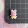 Accesorios de Resina de Animales de Tamaño Pequeño Gato Conejo Dinosaurio Oso Accesorios Material Pasador Funda de Teléfono Celular Decoración de Zapatos Accesorios