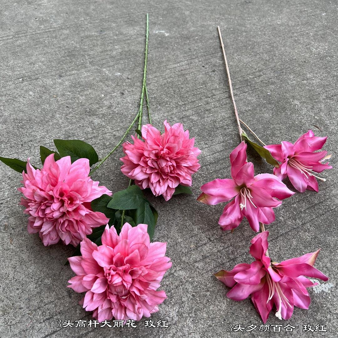 微信图片_20220519175004