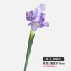 Flor de Iris de Cabeza Única Simulada Decoración Suave para Sala de Estar en Casa Arreglo Floral Fresco Flor de Bambú Plana Flor de Iris Única Flor Artificial