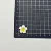 Accesorios DIY de Plumeria Funda para Teléfono Accesorios para el Cabello Pegamento en Crema Resina Venta al por Mayor Pegatinas para Tazas de Agua Hebillas de Zapatos Decoraciones Brillantes