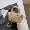 Bolso bandolera versátil de nicho de moda de Boston Diseño nuevo para ir al trabajo, de mano, estilo coreano para mujer Verano 2025