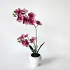 Flor Artificial de 2 Tallos y 12 Flores Orquídea Phalaenopsis Bonsái, Flor Simulada Planta en Maceta de Interior Decoración para Sala de Estar Mueble de TV, Adorno para Maceta