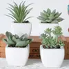 Suculentas Simuladas Personalizadas Cerámica Bonsái Plantas Verdes Escandinavas Adornos Hogar Interior Sala de Estar Flores Falsas Suculentas Plantas en Maceta