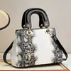 Bolso Bolsa Bolsa Princesa Diana Bolso Versátil para Novia Popular de Gama Alta Bolso Cruzado de Hombro Único Exportación Taizhou Bolso de Mujer Bolso