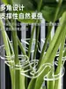 Suporte de Fixação de Raiz de Planta em Acrílico para Evitar Tombamento, Haste de Suporte para Monstera, Fixador de Planta Verde Folha de Mola, Estrutura de Agrupamento