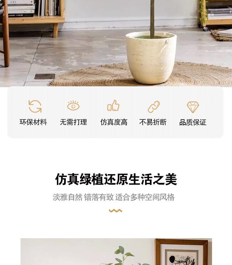 尤加利详情页_02.png