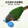 Brinquedo de papagaio pequeno martelo de areia para roer, alívio do tédio e redução do estresse, adequado para agapornis, conures sol pequenas e calopsitas, atacado