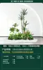 Set de Paisajismo Simulado para Exhibidores de Ventanas Interiores, Decoración de Escaleras, Paisaje de Plantas Verdes Simuladas, Arreglo de Jardín, Adornos de Decoración de Plantas en Maceta