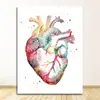 Escritório de Educação Médica Tela Pintura em Tela de Anatomia Humana Músculo Pintura Artística Pintura Aquarela Personagem Pintura Decorativa Núcleo