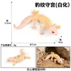 Modelo de Simulação Animal Sólido Transfronteiriço Lêmure Capivara Mangusto Doninha Lagarto Alpaca Boi-almiscarado Boi Shougong Coelho
