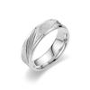 Anillo Popular de Lujo Ligero de Acero de Titanio Escarchado para Mujer Estilo Coreano Moda Anillo Versátil Anillo Amazon Transfronterizo Joyería de Mano