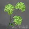 Flor de Simulación Verde Decoración Auditorio de Bodas Material de Flores para Bodas Flor Exterior Planta Verde Belleza Chen Arreglo Sanwei Kwai Mori Ceremonial de Bodas