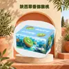 Shaanxi Cuixiang Kiwi Cuixiang Festival de Frutas Exóticas Grupo de Compras Caixa de Presente Produtos de Ano Novo Presente Modelo de Presente Empresarial