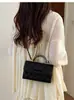 Fábrica Directa de Comercio Exterior Transfronterizo Bolso Acolchado de Lujo Bolso Cuadrado Pequeño para Mujer Versátil Bolso de Mujer Estilo Chanel