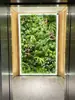 Decoración de pared de fondo anti-decoloración planta artificial pared pared de plantas verdes balcón flores falsas césped de plástico escaparate tienda decoración