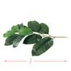 Planta de hoja artificial alta hoja de baniano bonsái hoja de magnolia rama única Manshi Qiong Nanye tiro de hoja de baniano alta venta al por mayor