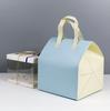 Bolsa de embalaje desechable especial para llevar, para hornear, papel de aluminio, para postres comerciales, leche, té, barbacoa, bolsa aislante no tejida para pasteles