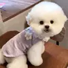 Novo Colete Floral de Primavera e Outono para Cães e Gatos, Fino, Amigo da Pele e com Guia Roupas Bichon