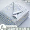 Colcha de Algodón Acolchado Clase A para Maternidad e Infancia, Colcha de Verano, Colcha de Verano Refrigerante para Niños, Colcha de Algodón Puro para Aire Acondicionado para Estudiantes de Jardín de Infancia, Colcha Fina de Verano