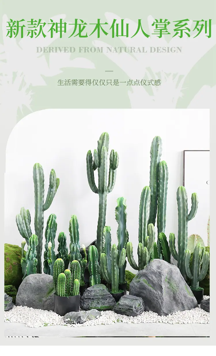 新款神龙木仙人掌系列_01.jpg