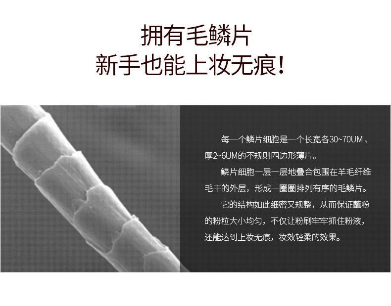 小苹果蘑菇刷xq (4).jpg