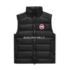 Chaleco de Plumas de Alta Gama Estilo Canada Goose 2025 para Hombre Otoño e Invierno Chaqueta sin Mangas de Moda para Mujer Modelo Nuevo