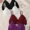 Nuevo Sujetador Sexy de Encaje Ropa Interior sin Marcas con Almohadilla en el Pecho Sujetador Push-up con Broche Hermosa Espalda Base Triángulo Taza Ropa Interior