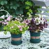 Plántulas de Flor de Oxalis de Hoja Morada, Bulbos de Trébol de Hoja Verde, Hierba Frita, Mariposa Morada, Plantas de Follaje para Balcón Interior y Patio