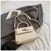 Bolso Pequeño de Alta Gama con Patrón de Piedra para Mujer, Nuevo Bolso de Mano de Nicho Retro 2025 Bolso Kelly, Bolso Cruzado Texturizado para Otoño e Invierno