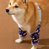 Nuevas Rodilleras y Coderas para Mascotas, Protectores Quirúrgicos para Articulaciones de Perro, Cubiertas para Patas Anti-Desgaste y Anti-Suciedad para Perros Golden Retriever Medianos y Grandes