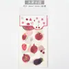 Set de Pegatinas para Diario, Pegatinas Washi Artísticas y Lindas, Material de Verano para Bodas y Viajes, Pegatinas Decorativas, Artículo Popular de Celebridad de Internet