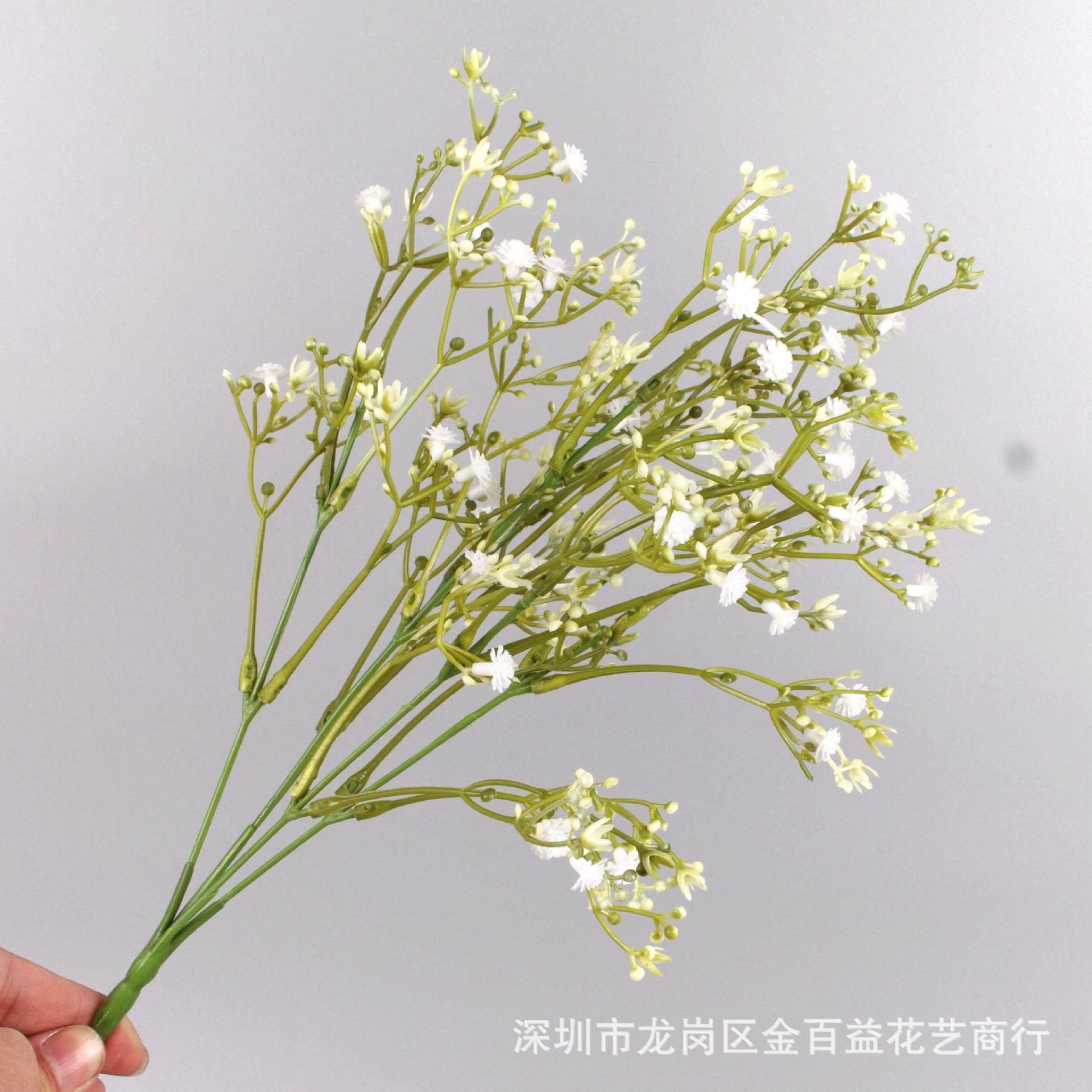 IMG_0339_副本.jpg