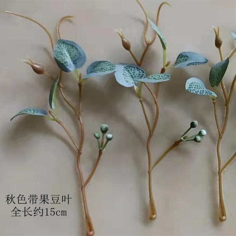 秋色带果豆叶.jpeg