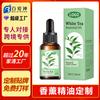 Aceites Esenciales de Aromaterapia Personalizados, Aceites Esenciales de Plantas Aromáticas, Botellas con Gotero de Comercio Exterior Transfronterizo, Aceites Esenciales para Aire Fresco, Procesamiento de Fabricante