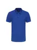 Uniformes escolares de verano hechos a medida, incluyendo playeras tipo polo de manga corta con logotipos escolares, para escuelas primarias y secundarias. También ofrecemos diseños personalizados para eventos deportivos escolares y uniformes de clase.