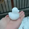 Exportación de Nuevos Productos Portátiles Innovadores: Fabricante de Moldes de Pato de Nieve