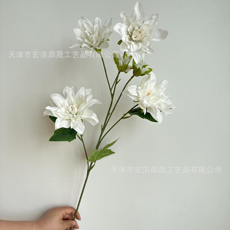 微信图片_202305251523313_副本