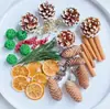 Fruta Fixa Natural Planta Fruta Casca Espécime Material Decoração Flores Secas Fatias Jardim de Infância DIY Pacote de Material de Natal