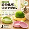 Vaso hidropônico para grama de gato, copo hidropônico para cultivar grama de gato, copo de grama de gato, vaso de grama de gato, pote para petisco de gato