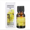 Máquina de Aromaterapia Aceite Esencial Aromático Soluble en Agua Humidificador Difusor para Dormitorio Fragancia Relajante Aromaterapia Ventas Calientes Transfronterizas Aromaterapia