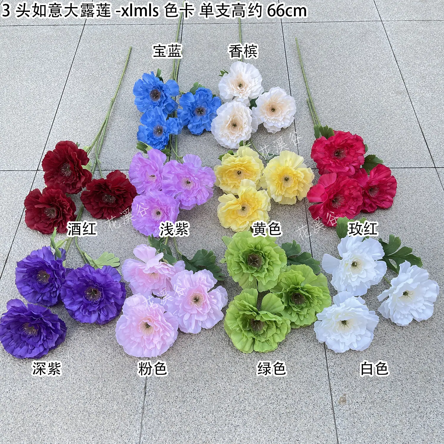 3头如意大露莲-xlmls 色卡 花溪谷.jpg