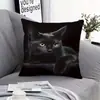 Fronha de almofada de sofá transfronteiriça, pelúcia curta amiga da pele, fronha de almofada de animal gato fofo, capa de almofada para sala de estar, não inclui enchimento