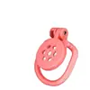 Reproductor LiPu Candado de Castidad para Tableta SM + 4 Anillos + Llave Candado de Castidad Juguete Productos para Adultos Juguetes Eróticos para Adultos