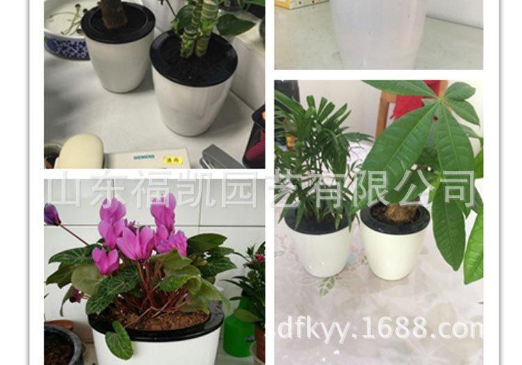 懒人花盆新_19