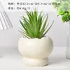 Maceta de Cerámica Transfronteriza Florero Grande Estilo Crema Orquídea Mariposa Maceta Especial Transpirable Hogar Planta Verde Suculenta Orquídea Planta en Maceta
