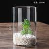 Jarrón de vidrio transparente hidropónico con adornos de alto valor, jarrón creativo para sala de estar, jarrón de vidrio de borosilicato simple y alto.