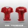 Uniformes de bádminton hechos a medida con impresión digital, aptos para adultos y niños, diseñados para competiciones y entrenamiento, con tejido transpirable y de secado rápido, y disponibles como camisetas de club para hombre