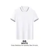 Camisa POLO com gola contrastante de luxo leve, 60 peças, para homens e mulheres, vestuário corporativo, LOGOTIPO, uniforme de equipe, design da imagem, uniforme de trabalho