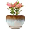Maceta de cerámica extragrande con diseño de pavo real, color azul y rojo, con flores esmaltadas, para sala de estar, balcón, orquídea verde personalizada, Diaolan